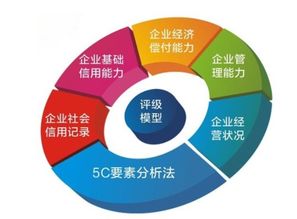 企業(yè)信用評級的科學(xué)體系 從調(diào)查到評估的完整流程解析